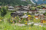 SUMMER-Hotel Le Petit Dru-Morzine (1).webp