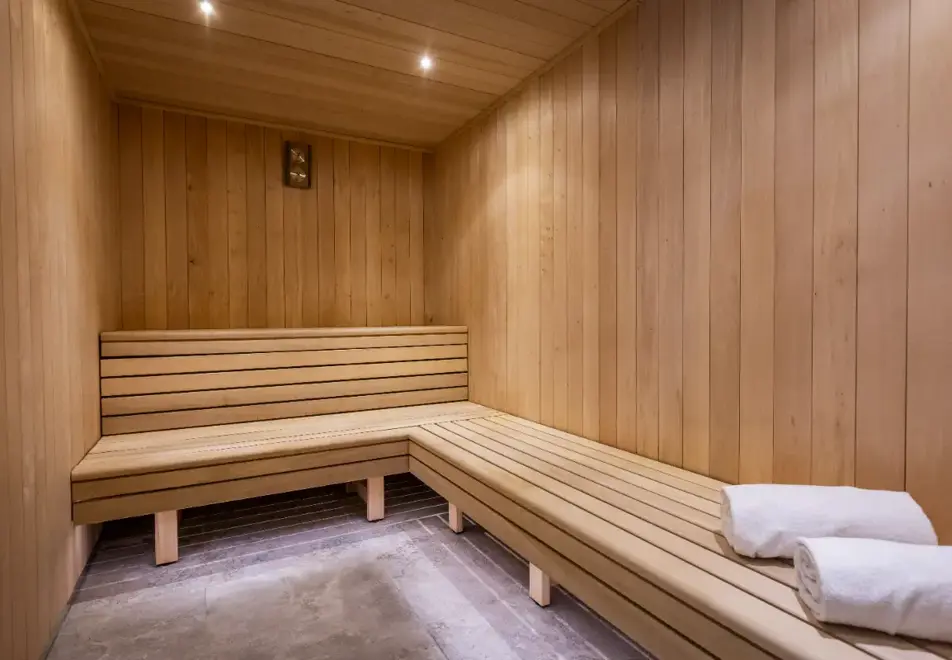 Source de Canopee, Saint Gervais les Bains - Sauna (©ManuReyBoz)