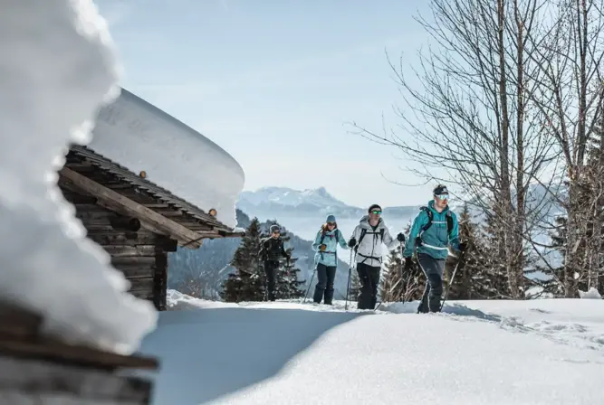 Le Grand Bornand snowshoeing (clementhudry).webp