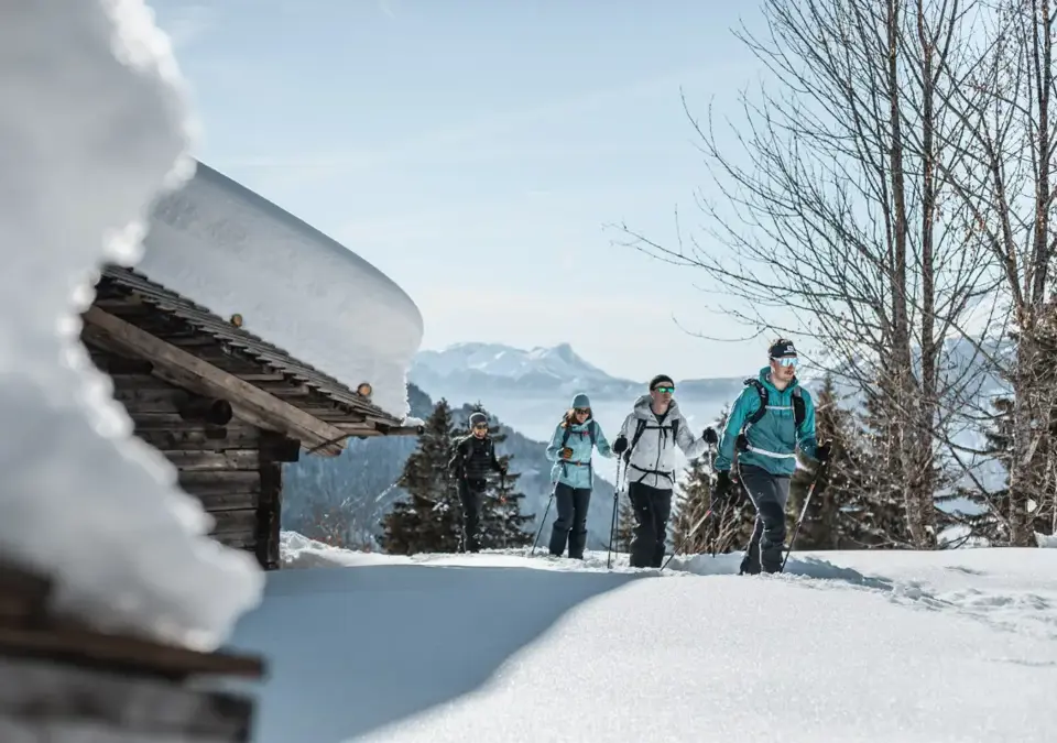 Le Grand Bornand snowshoeing (clementhudry).webp
