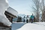 Le Grand Bornand snowshoeing (clementhudry).webp