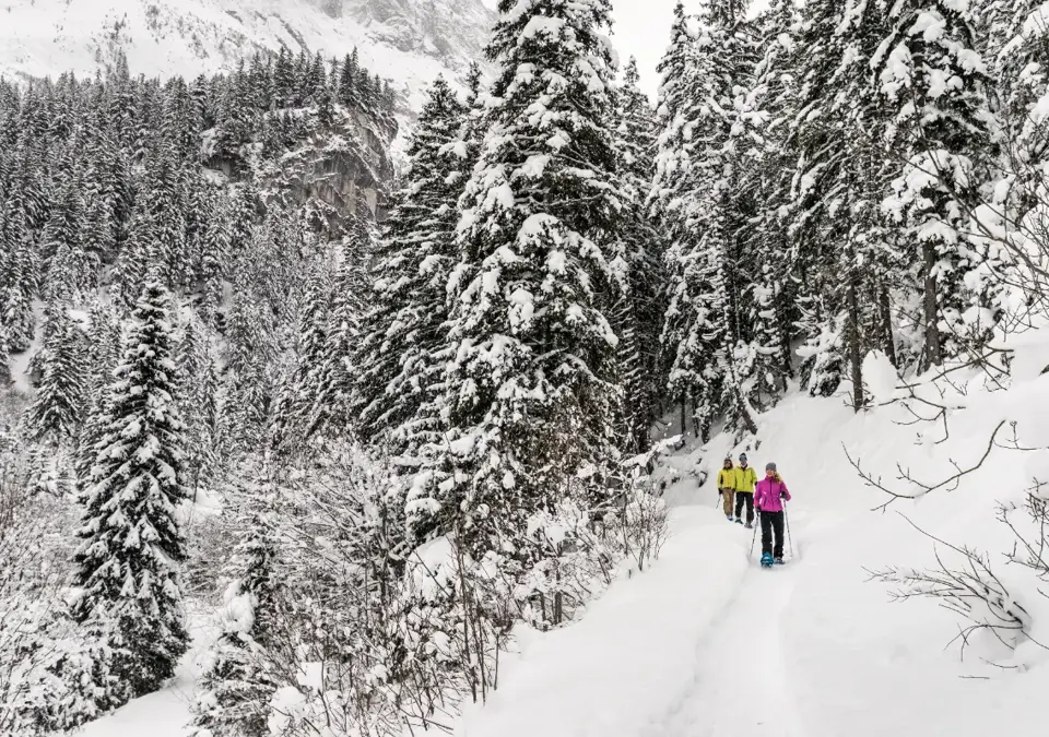 Snowshoeing ©Guillaume-Grasset-Office-de-Tourisme-de-Pralognan-la-Vanoise (2).webp