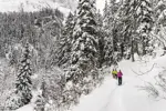 Snowshoeing ©Guillaume-Grasset-Office-de-Tourisme-de-Pralognan-la-Vanoise (2).webp