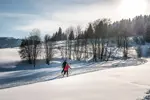 Combloux nordic skiing (2).webp