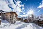 Chalets du Jardin Alpin-Val d'Isere (ManuReyboz) (17).webp