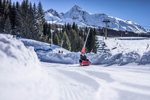 Arc 1800 Mille8 Sledge