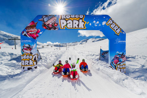 Arc 2000 Rodeo Park Sledge
