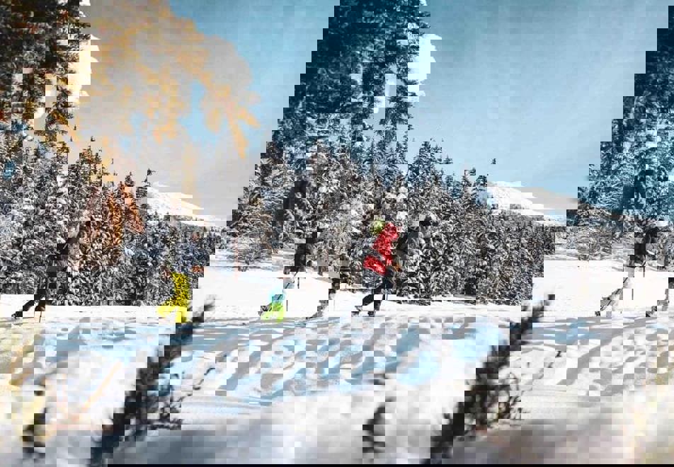 Showshoeing in Villard de Lans