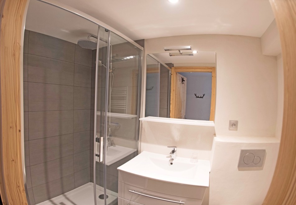 Serenity Apartment 1, Vaujany (self catered apartments) - Shower room + wc