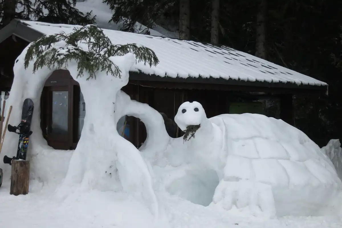 Skiing into Spring: Tortoise Igloo
