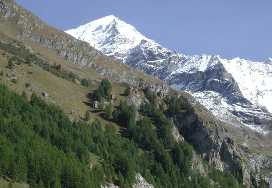 Peisey Vallandry Village - Glacier du Mont-Pourri Peisey Nancroix