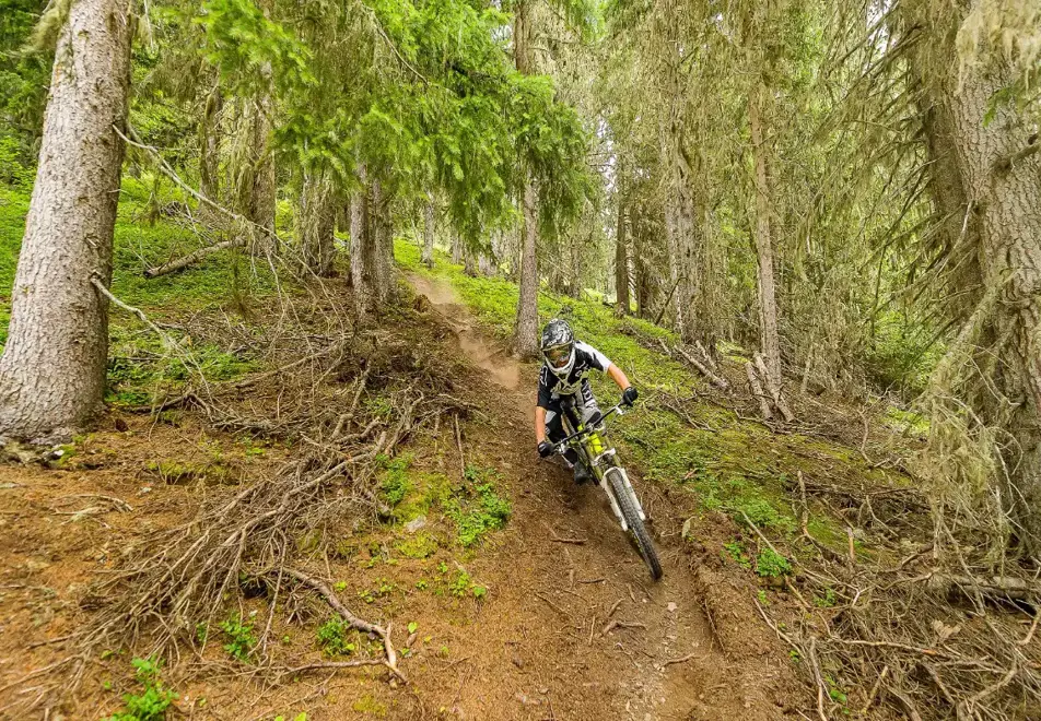 Peisey Vallandry Village - Mountain biking