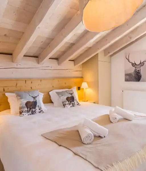 Hameau de Barthelemy, La Rosiere (self catered apartments) - 2 bedroom cabin apartment