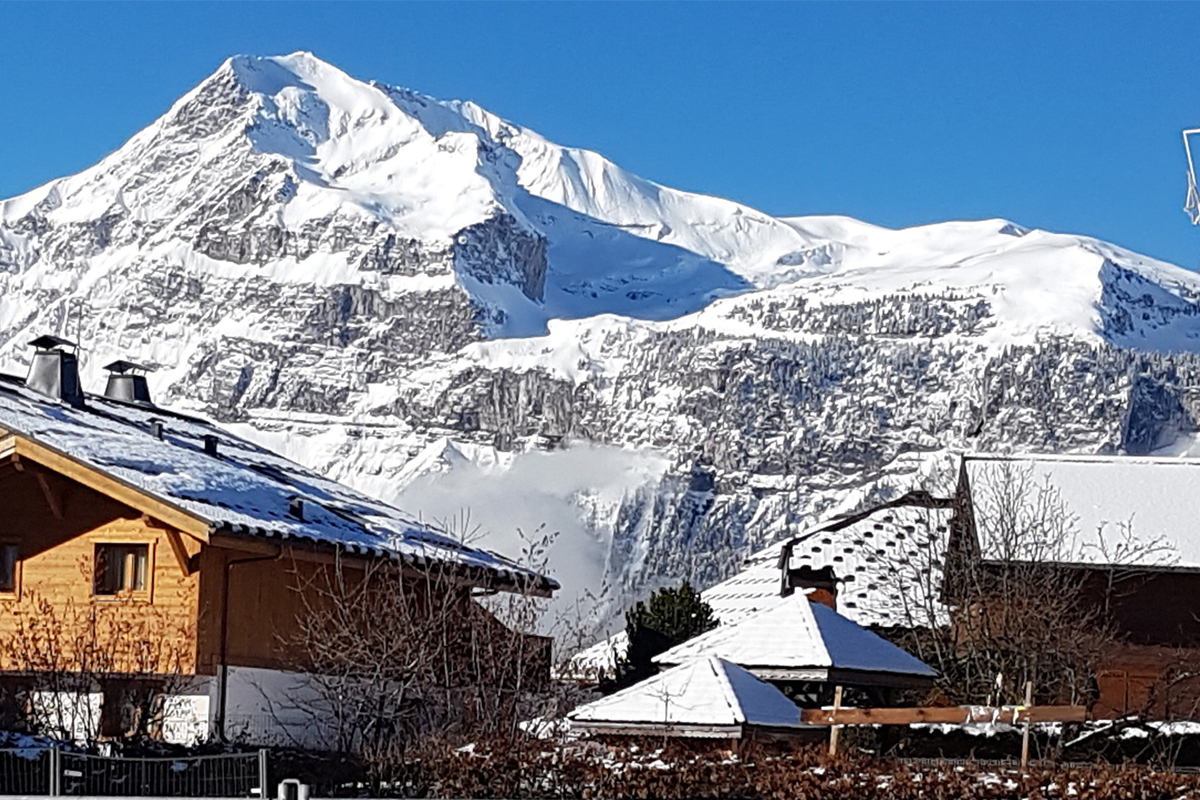 A zoomed in view of chalets in Les Carroz