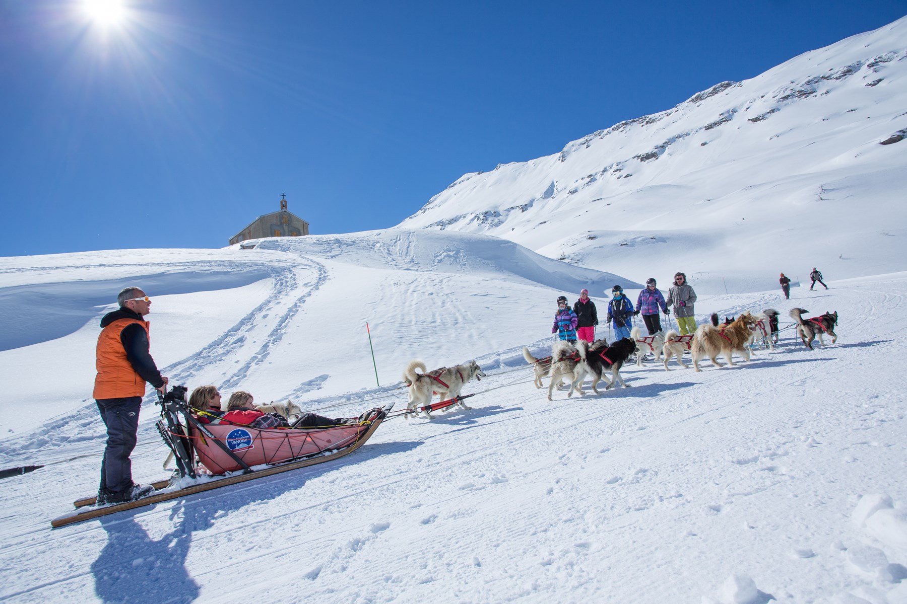 Dog Sledging in Val Cenis