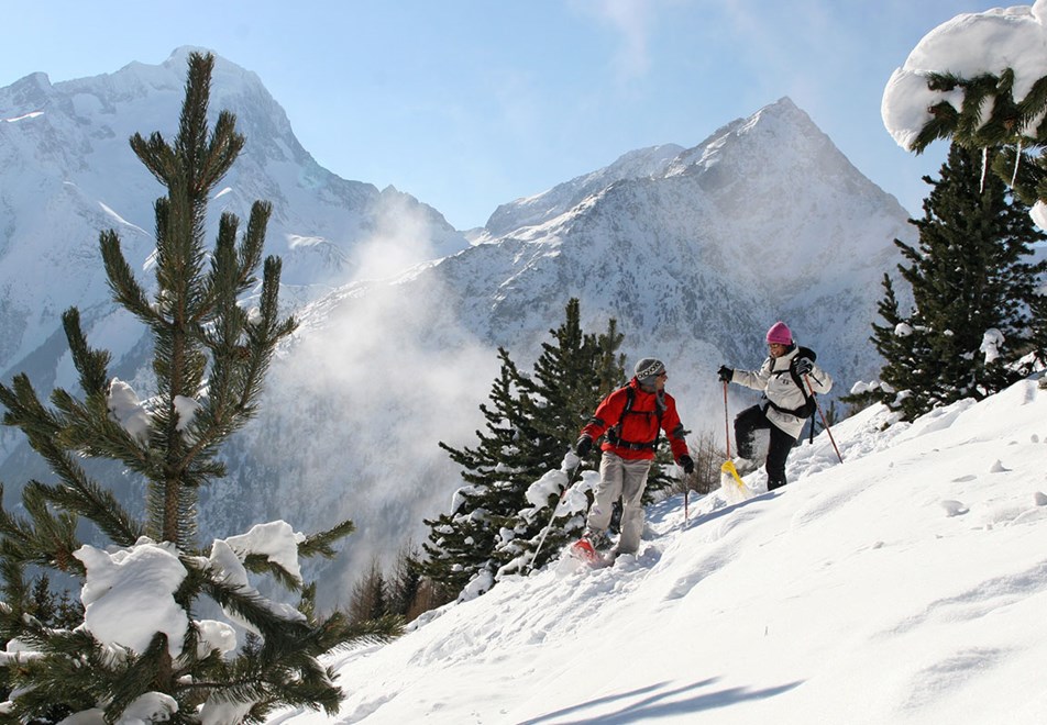 Les 2 Alpes Ski Resort