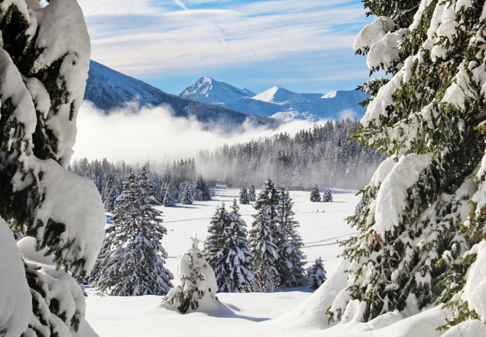 Chamrousse Ski Resort (©Aeolus) - Nordic park