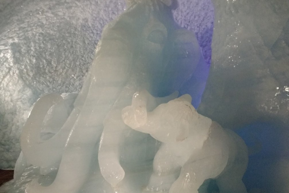 Ice Cave Les Deux Alpes