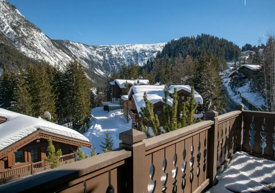 Manali Lodge-Courchevel-Nirekha (10).webp