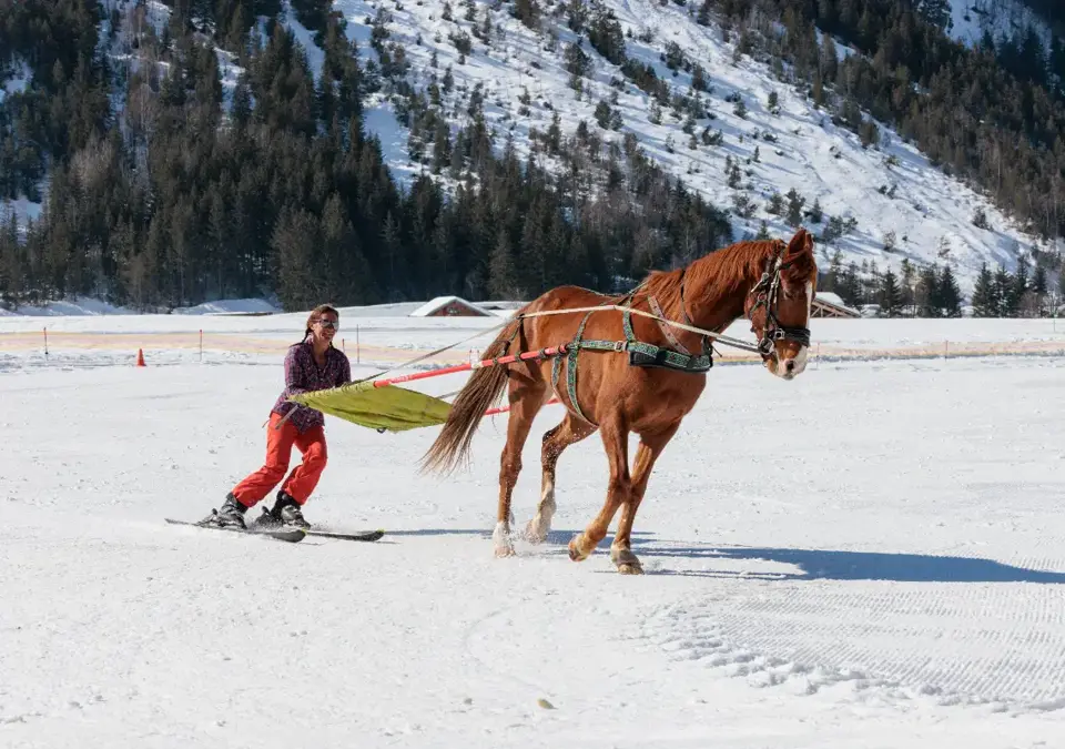 Ski-joering-©Guillaume-Grasset-Office-de-Tourisme-de-Pralognan-la-Vanoise.webp