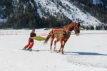 Ski-joering-©Guillaume-Grasset-Office-de-Tourisme-de-Pralognan-la-Vanoise.webp