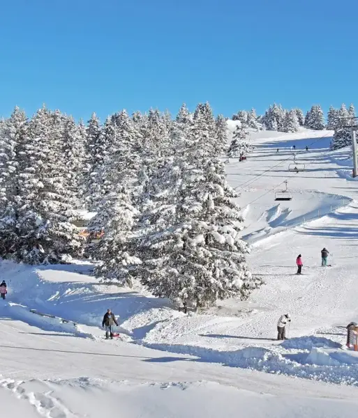 Chamrousse Ski Resort (©VGenin) (1).webp