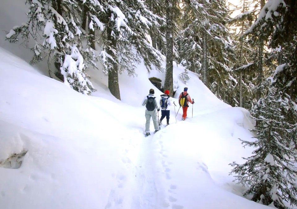 Sainte Foy snowshoeing.jpg