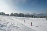 Les Gets nordic skiing.webp
