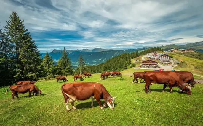 Samoëns