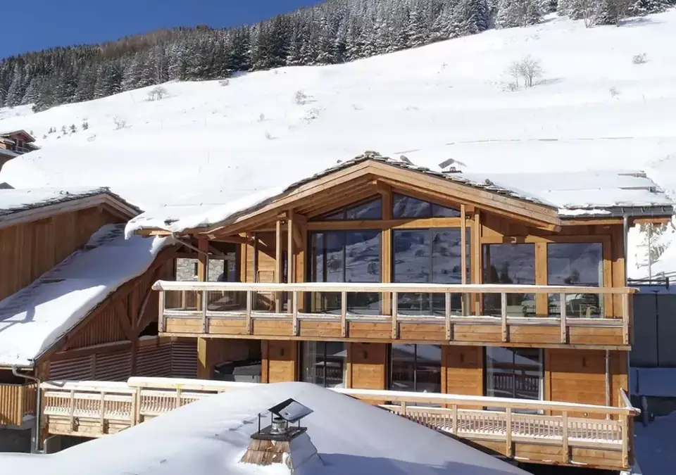 Chalet Le Lynx-Les Deux Alpes (2).webp