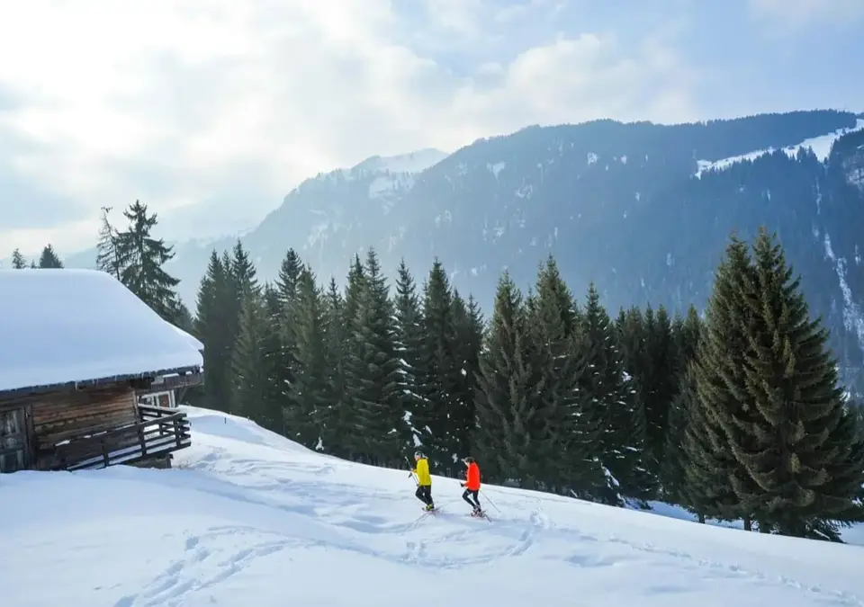 chatel snow shoeing.webp