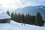 chatel snow shoeing.webp