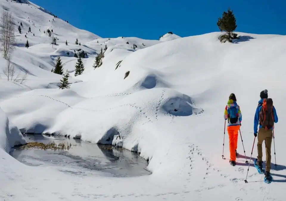 Oz 3300 snowshoeing (2).webp