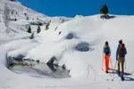 Oz 3300 snowshoeing (2).webp
