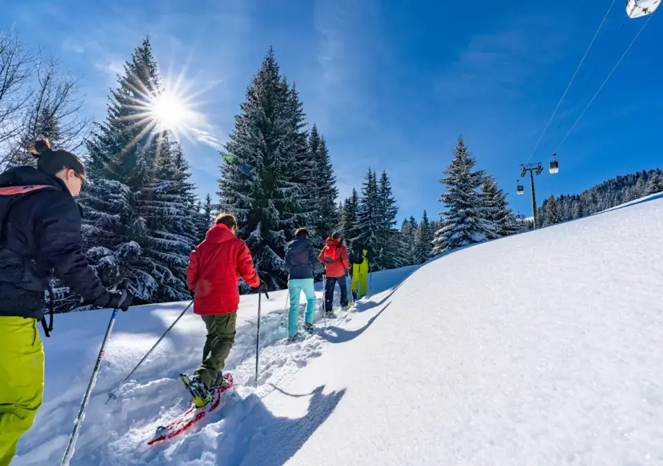 St Gervais-Mont Blanc-Snowshoeing.webp