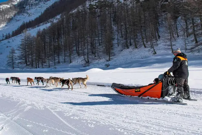 Aussois-Dog sledding (1).webp