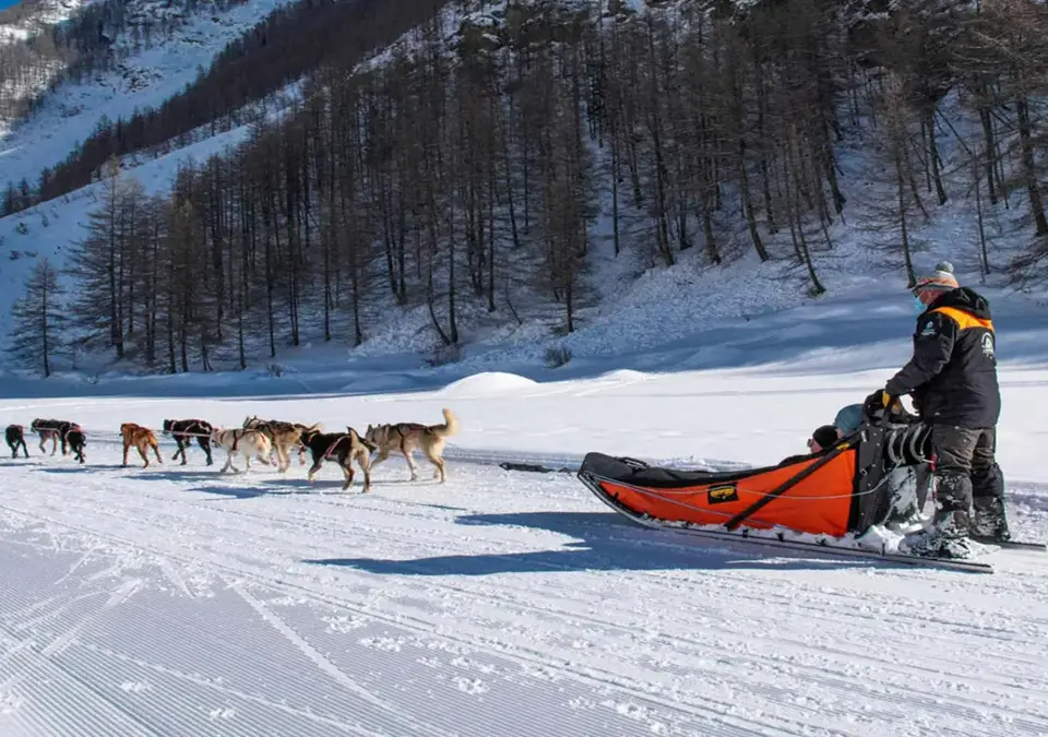 Aussois-Dog sledding (1).webp