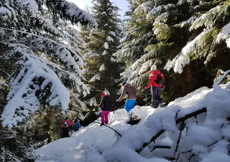 Manigod snowshoeing.webp