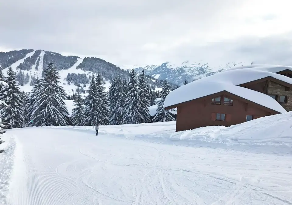 Hameau du Beaufortain-Les Saisies-XS educational (3).webp