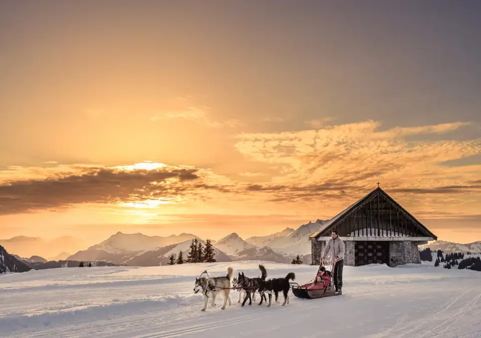 Avoriaz dog sledding.webp