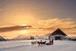 Avoriaz dog sledding.webp