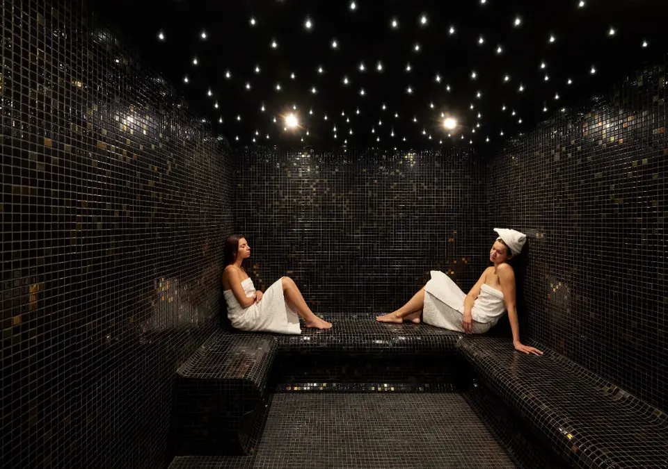 Alpen Valley hotel - Combloux - steam room.webp