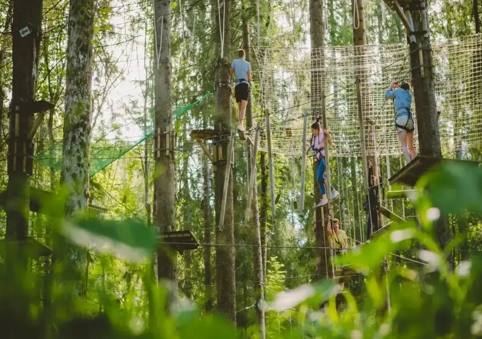 Morzine Indiana Parc tree ropes activity (2).webp