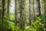 Morzine Indiana Parc tree ropes activity (2).webp
