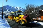 Chatel le-petit-train-en-hiver-9475.webp