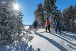 Chamrousse snowshoeing.webp