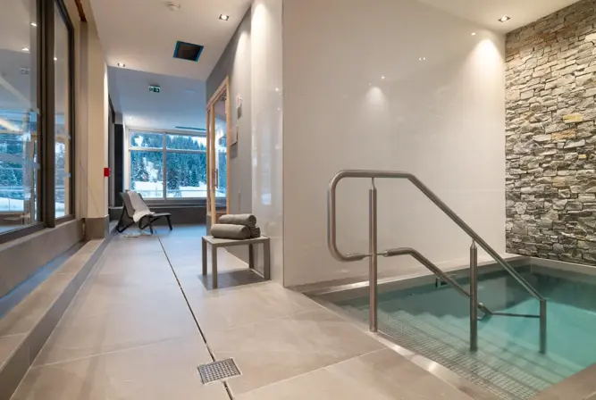 Alhena-Flaine-Plunge pool (©Studio-Bergoend).webp