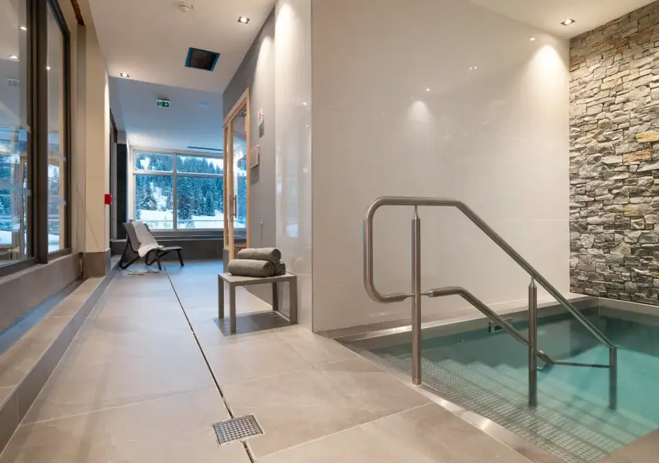 Alhena-Flaine-Plunge pool (©Studio-Bergoend).webp