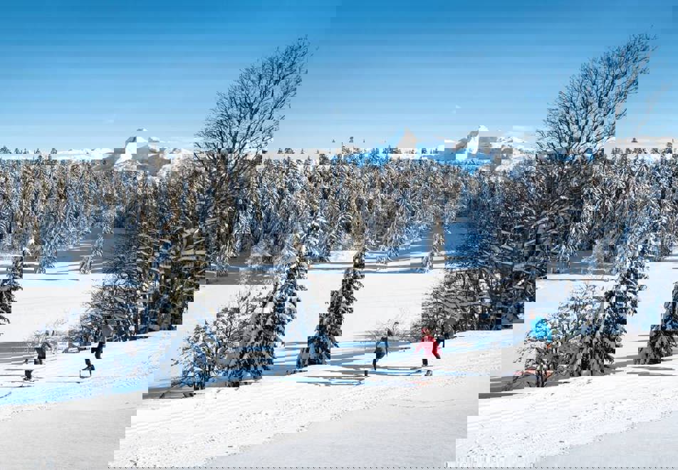 Nordic skiing in Villard de Lans