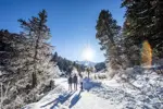 Meribel walking in the forest.webp